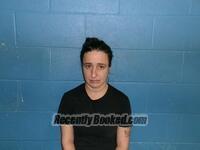 Recent Mugshot Image for TANYA S HOLMAN in Poinsett County, Arkansas