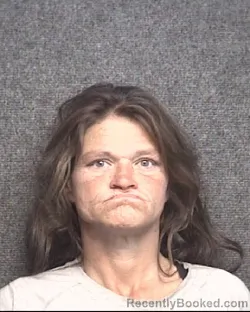 Recent Mugshot Image for APRIL GRACE BOWLIN in Horry County, South Carolina