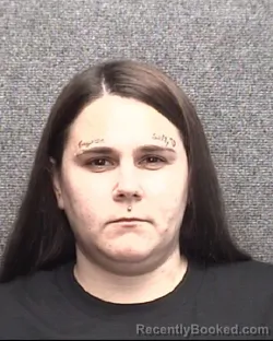 Recent Mugshot Image for BRITTANY LYNN READINGER in Horry County, South Carolina