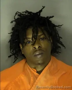 Recent Mugshot Image for RAQUEZ DEVION LANE in Horry County, South Carolina