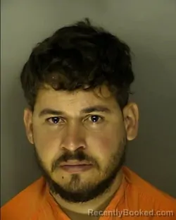 Recent Mugshot Image for GEOVANE ZEFERINO DA COSTA in Horry County, South Carolina