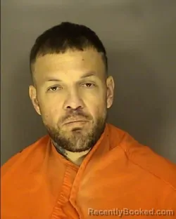 Recent Mugshot Image for JAMES TOWNSLEY in Horry County, South Carolina