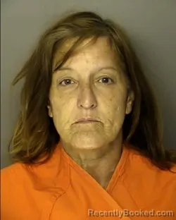 Recent Mugshot Image for KAREN RENEE SHYLOCK in Horry County, South Carolina