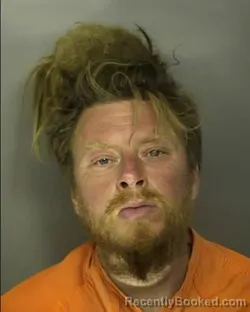 Recent Mugshot Image for DAVID ELBERT MEZO in Horry County, South Carolina