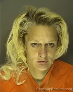 Recent Mugshot Image for TINA MARIE JOLLY in Horry County, South Carolina