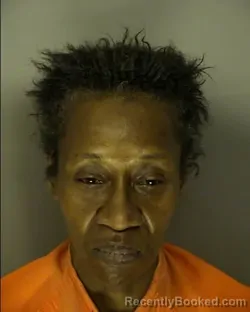 Recent Mugshot Image for ADRIANE MELISSA ROBINSON in Horry County, South Carolina