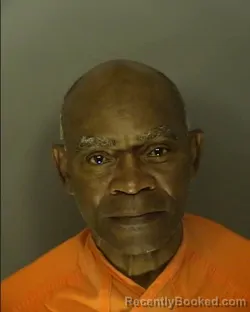 Recent Mugshot Image for STEVE ANTHONY SALMON in Horry County, South Carolina