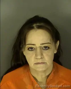Recent Mugshot Image for CRYSTAL GAIL LEE in Horry County, South Carolina