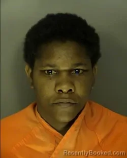 Recent Mugshot Image for DAVEANNA MICHELLE HUGGINS in Horry County, South Carolina