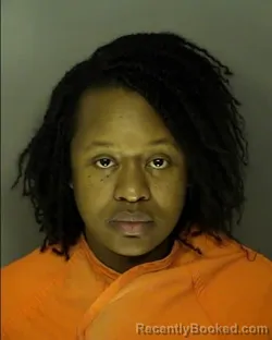 Recent Mugshot Image for DANA LEONDREA LEWIS in Horry County, South Carolina