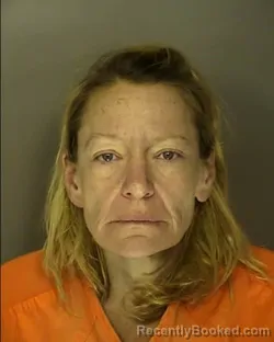 Recent Mugshot Image for MOLLY ANN NEWMAN in Horry County, South Carolina
