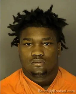 Recent Mugshot Image for XZAYVIA ELIJAH GOODMAN in Horry County, South Carolina