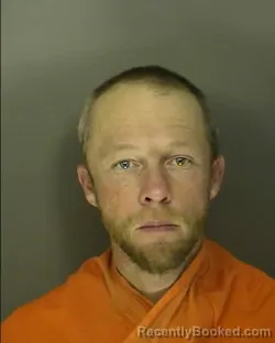 Recent Mugshot Image for STORM LOGAN HODGES in Horry County, South Carolina