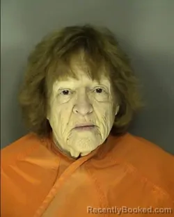 Recent Mugshot Image for SHERYL ELIZABETH ALLEN in Horry County, South Carolina