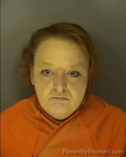 Recent Mugshot Image for RENAEE NICOLE POOLE in Horry County, South Carolina