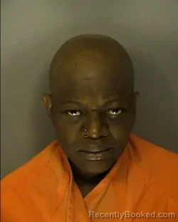 Recent Mugshot Image for DEBBIE MELINDA SPAIN in Horry County, South Carolina