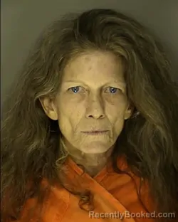 Recent Mugshot Image for ANGELA LYNN STAFFORD in Horry County, South Carolina