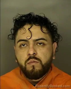 Recent Mugshot Image for LEE RAMIREZ ARELLANO in Horry County, South Carolina