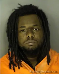 Recent Mugshot Image for HARRY JAMES BELLAMY in Horry County, South Carolina