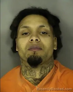 Recent Mugshot Image for JADEN DOMENIC GRAYER in Horry County, South Carolina