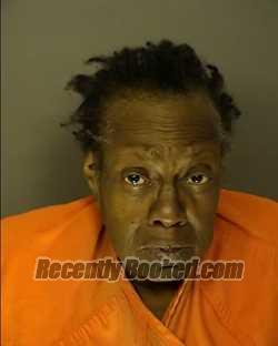 Recent Mugshot Image for CAROLYN RENEA LYONS in Horry County, South Carolina