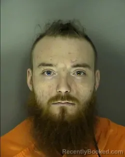 Recent Mugshot Image for DANIEL GRAY BULLINS in Horry County, South Carolina
