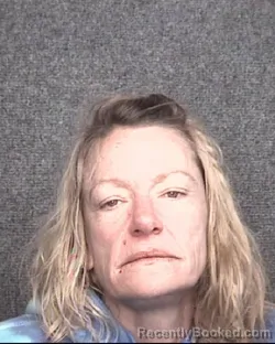 Recent Mugshot Image for MOLLY ANN NEWMAN in Horry County, South Carolina