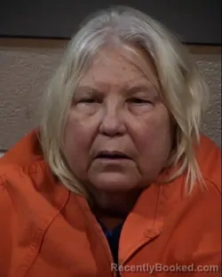 Recent Mugshot Image for DENISE JUDITH WILLEY in Horry County, South Carolina