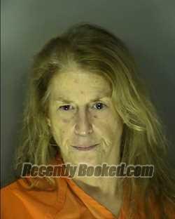 Recent Mugshot Image for KELLY HEWITT GIBBS in Horry County, South Carolina