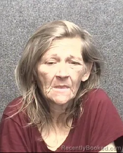 Recent Mugshot Image for REGINA WHITEIS in Horry County, South Carolina