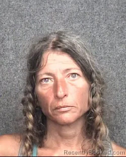 Recent Mugshot Image for SHANNON MARIE REED in Horry County, South Carolina