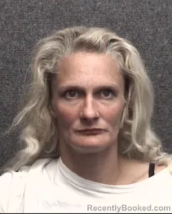 Recent Mugshot Image for TINA MARIE JOLLY in Horry County, South Carolina