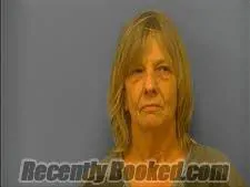 Recent Mugshot Image for PAMELA TIBBITTS in Saline County, Arkansas