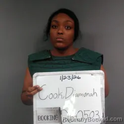 Recent Mugshot Image for DIAMONAH LASCHELLE COOK in Sebastian County, Arkansas