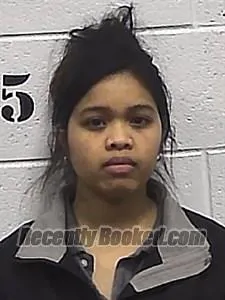 Recent Mugshot Image for Davlynn Lanwa in Sharp County, Arkansas