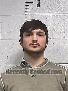 Recent Mugshot Image for Walter Blake Long in Sharp County, Arkansas