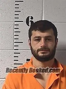 Recent Mugshot Image for Giorgi Butikashvili in Sharp County, Arkansas