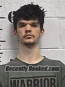 Recent Mugshot Image for Gregory Woolsey in Sharp County, Arkansas