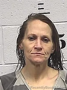 Recent Mugshot Image for Johni Craft in Sharp County, Arkansas