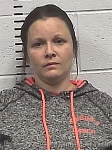 Recent Mugshot Image for Crissy Nicole Brigman in Sharp County, Arkansas