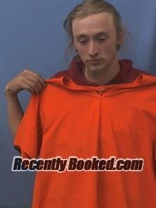 Recent Mugshot Image for Madison David Willoughby in Van Buren County, Arkansas