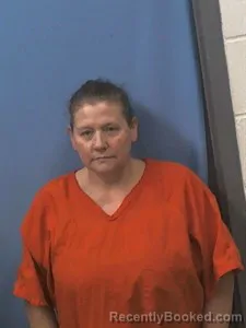 Recent Mugshot Image for Sally JEAN DUNCAN in Van Buren County, Arkansas