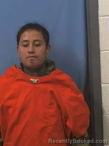 Recent Mugshot Image for Nay B Wah in Van Buren County, Arkansas