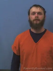 Recent Mugshot Image for James Dalton Lewis in Van Buren County, Arkansas