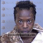 Recent Mugshot Image for Nesreen Abdelkarim Kowa in Maricopa County, Arizona