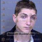 Recent Mugshot Image for Naguib Charles Haddad in Maricopa County, Arizona