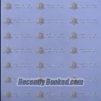 Recent Mugshot Image for Brianna Daisy Benally in Maricopa County, Arizona