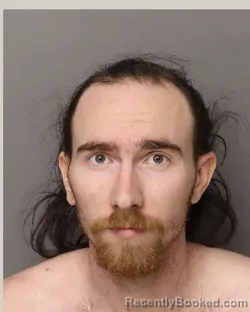 Recent Mugshot Image for LEE FRANKLIN Junior ROBISON in Lancaster County, South Carolina