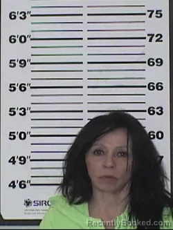Recent Mugshot Image for ALISHA ROSE WHITE in Appanoose County, Iowa