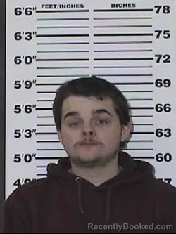 Recent Mugshot Image for BRANDT AIDEN STEVENS in Appanoose County, Iowa